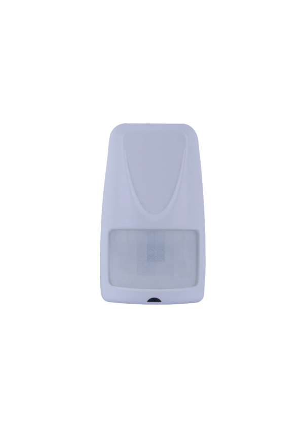 Text